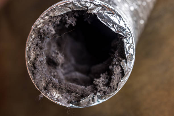 Best Commercial Air Duct Cleaning  in Hitchcock, TX