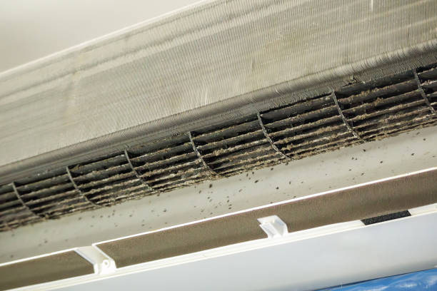 Best Residential Air Duct Cleaning  in Hitchcock, TX